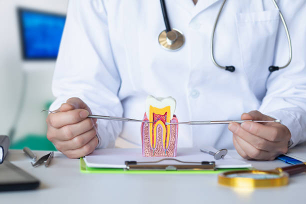 Best Emergency Dental Extractions in Marion, IA